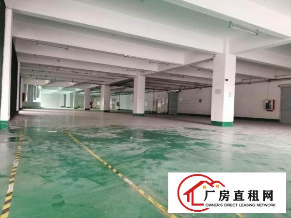 
		布吉独栋厂房35000平方，可以按需分租500平方起
	