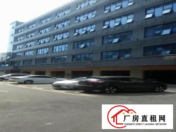 
		布吉丹竹头地铁站新出全新带装修厂房
	