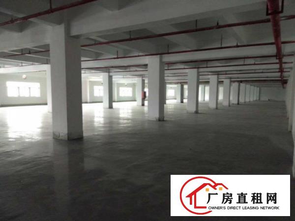 
		布吉甘坑新出（原房东）2000平厂房6米高带地坪漆消防喷淋
	