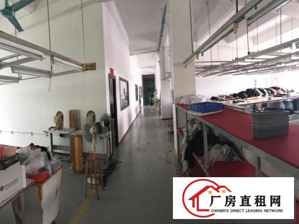 
		丹竹头地铁站新出一二楼厂房各1200平有装修可分租
	