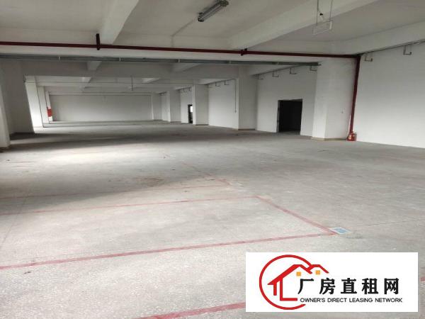
		上李朗厂房200平500平1000平2800平大小自由选择
	