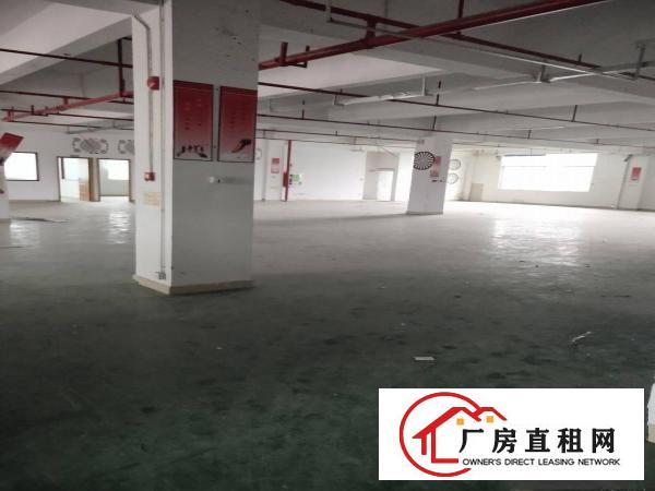 
		上李朗厂房200平500平1000平2800平大小自由选择
	