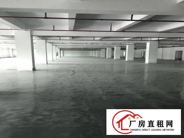 
		布吉南岭工业区新出原房东使用率超大2000平厂房可分租
	
