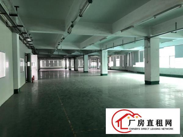 
		布吉南岭工业区新出原房东使用率超大2000平厂房可分租
	