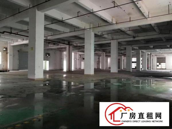 
		布吉上李朗110,300,500,2800平厂房
	