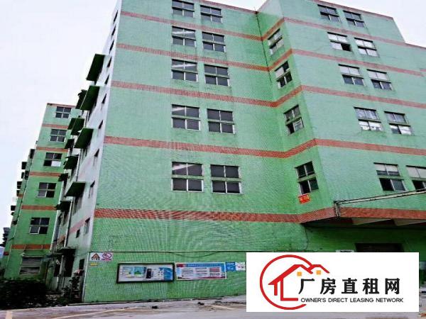 
		布吉上李朗110,300,500,2800平厂房
	