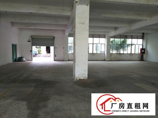 
		布吉上李朗110,300,500,2800平厂房
	