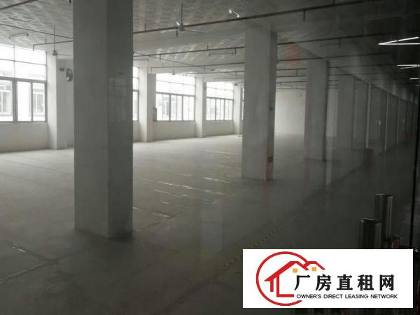 
		布吉上李朗110,300,500,2800平厂房
	