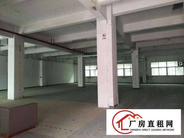 
		布吉上李朗110,300,500,2800平厂房
	