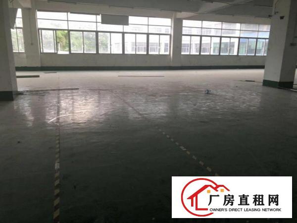 
		丹竹头东部假日广场附近160平280平500平厂房招租
	