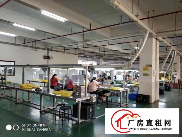 
		丹竹头东部假日广场附近160平280平500平厂房招租
	