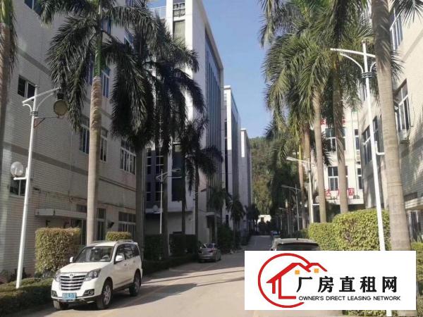 
		布吉丹竹头新出一楼厂房一千五百平可分租
	