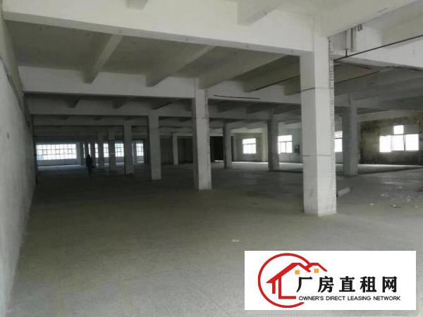
		布吉丹竹头新出一楼厂房一千五百平可分租
	