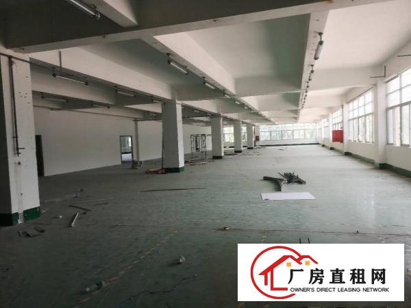 
		布吉百鸽笼14800平方厂房出租大小分租
	