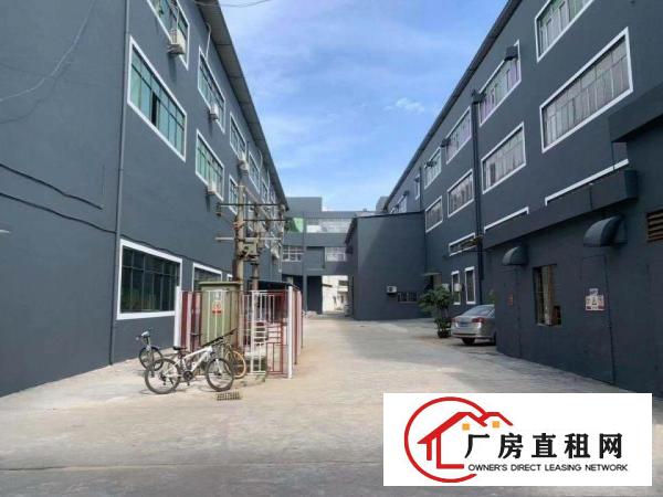 
		南岭村业主厂房200~2000平米招租
	