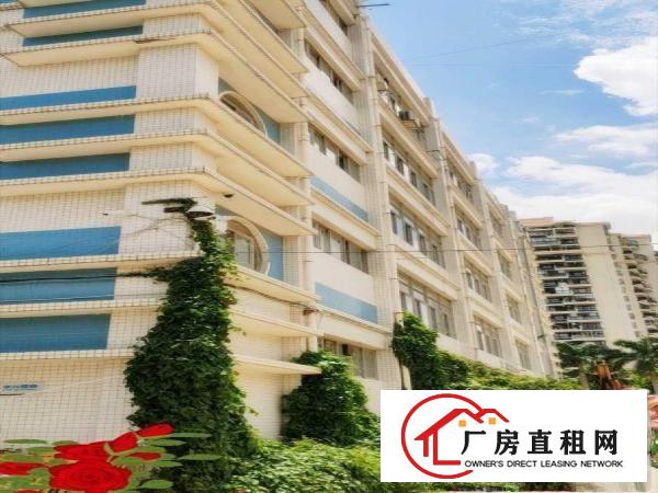 
		业主急租直租布吉百鸽笼地铁旁厂房、写字楼、仓库，面积大小可分
	