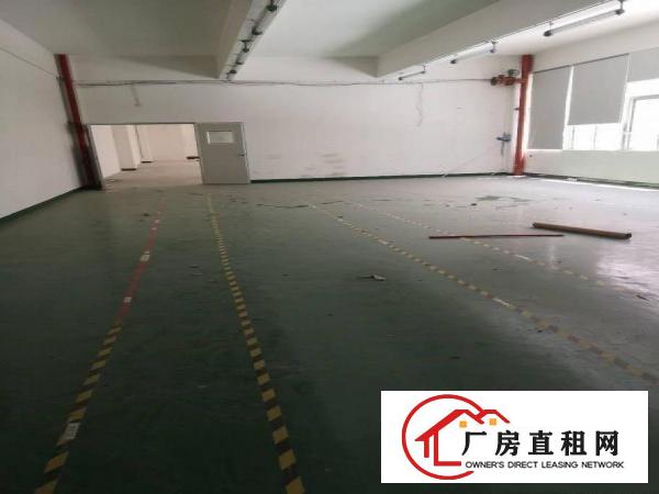 
		业主急租直租布吉百鸽笼地铁旁厂房、写字楼、仓库，面积大小可分
	