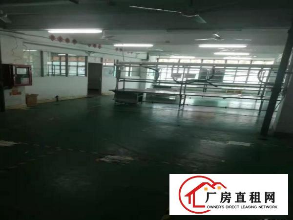 
		急租！布吉秀峰A5830平带办公室200起分租(免中介费)
	