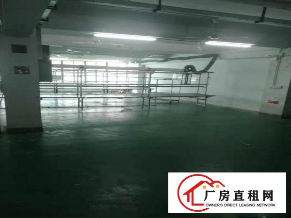 
		急租！布吉秀峰A5830平带办公室200起分租(免中介费)
	
