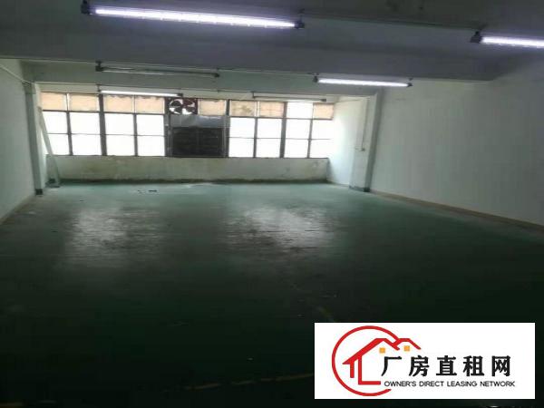 
		急租！布吉秀峰A5830平带办公室200起分租(免中介费)
	