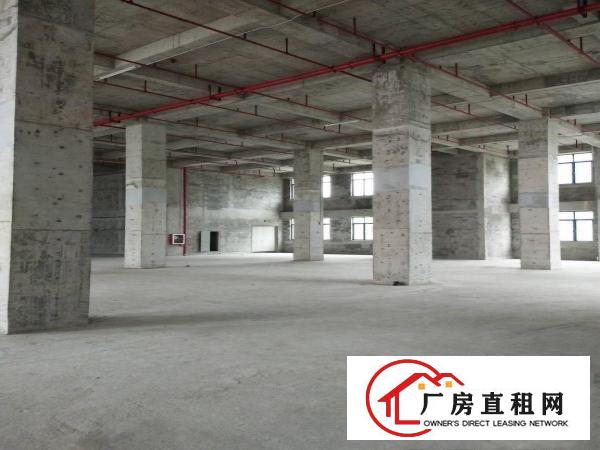 
		原业主1500平厂房出租不限行业层高8.5米
	