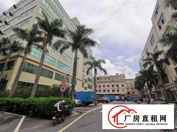 
		布吉丹竹头楼上1680平米办公仓库厂房出租（可分租）
	