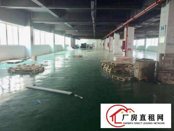 
		布吉上李朗新出厂房1.4万平分租1800平户型方正大小可分租
	