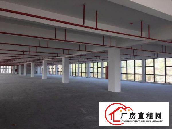 
		龙岗低碳城产业园公园式红本厂房生活交通配套方便业主直招
	