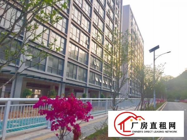 
		出租龙岗区坪地低碳城全新红本厂房可分租
	