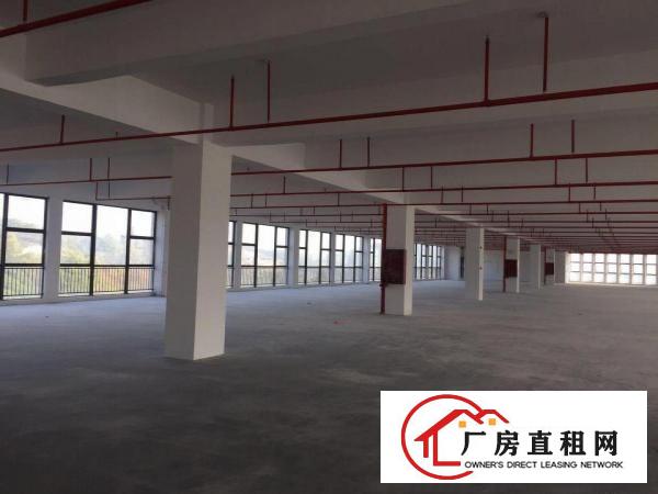 
		出租龙岗区坪地低碳城全新红本厂房可分租
	