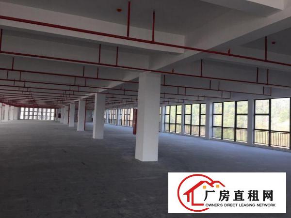 
		出租龙岗区坪地低碳城全新红本厂房
	