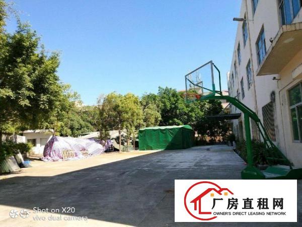 
		龙岗坪地六联厂房17370平方独院工业区厂房
	