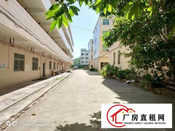 
		龙岗坪地六联厂房17370平方独院工业区厂房
	
