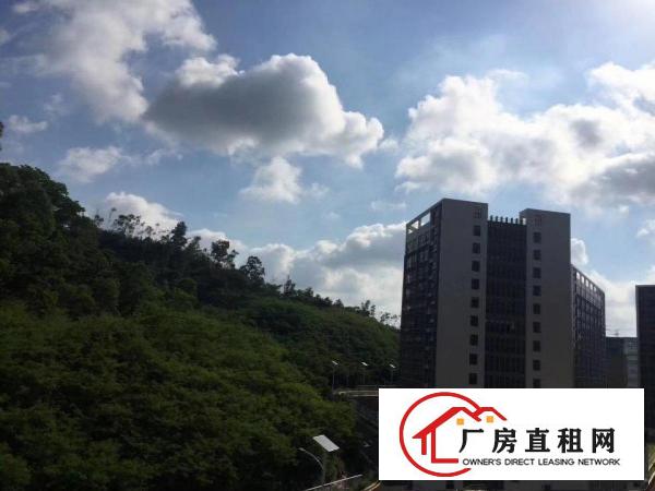 
		出租龙岗区坪地国际低碳城标准厂房环境优雅租金便宜
	