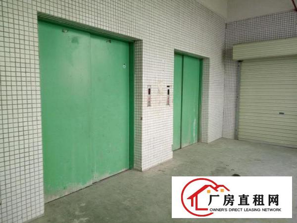 
		带补贴一一低碳园全新厂房1000平起招租一整租便宜
	