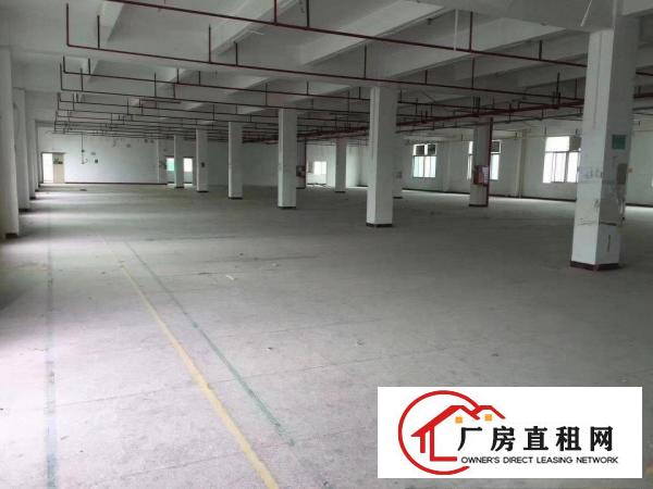 
		坪地坪西新出楼上厂房2000平米大小可分租
	