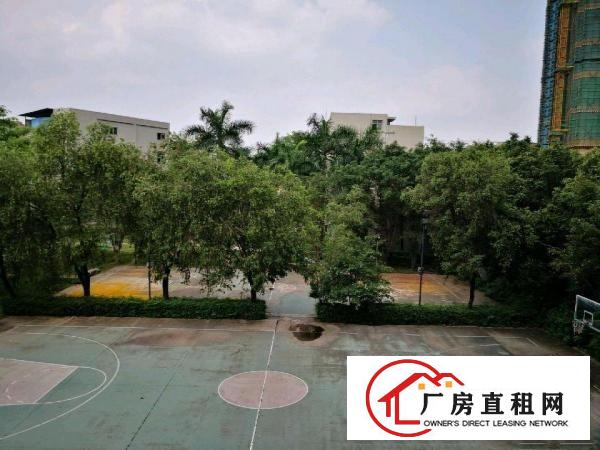 
		坪地坪西新出楼上厂房2000平米大小可分租
	
