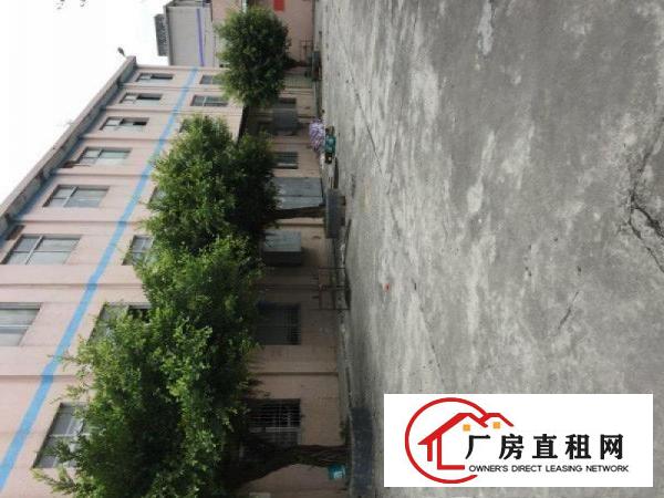 
		（滚镀厂房）坪地四方铺新出一楼厂房450平起招租
	