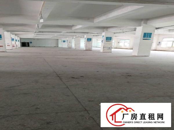 
		龙岗坪地坪东湖田路旁独院厂房6100平米出租
	