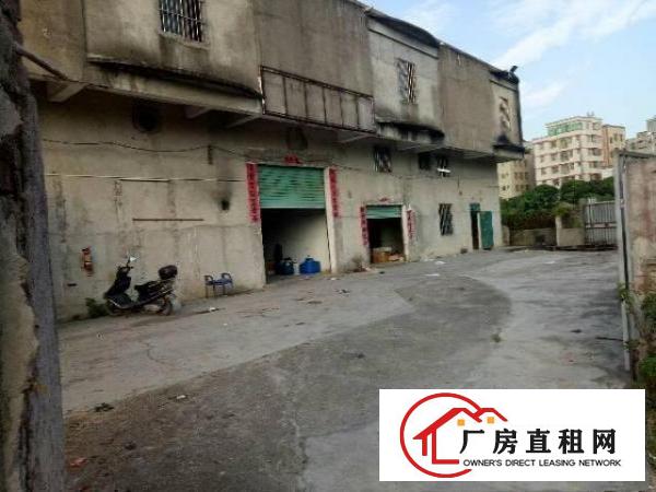 
		坑梓老坑一楼标准厂房800平方，便宜出租
	