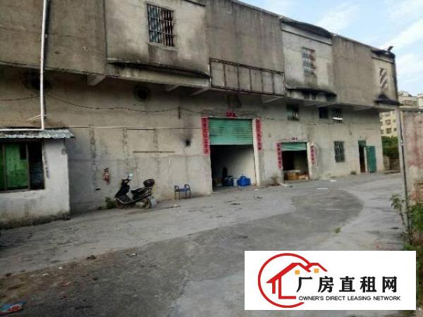 
		坑梓老坑一楼标准厂房800平方，便宜出租
	