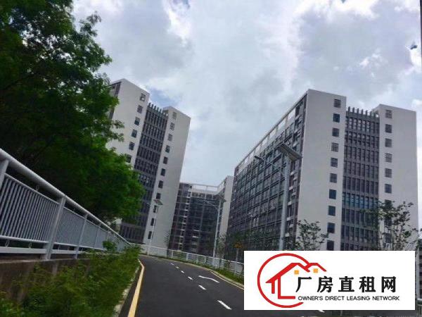 
		出租龙岗区坪地国际低碳城红本标准厂房园区大环境优雅
	