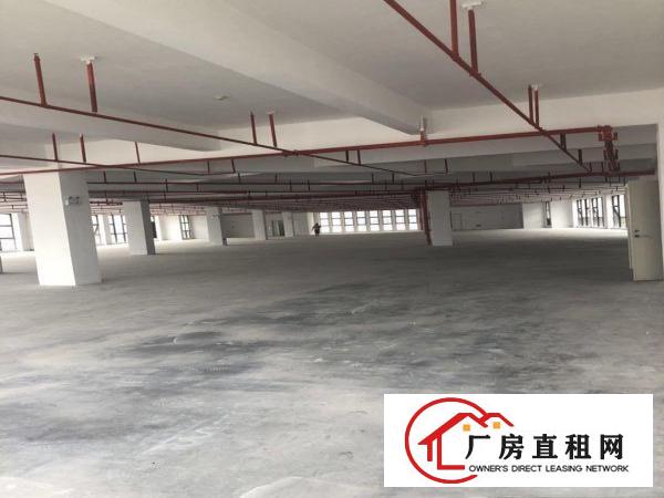 
		出租龙岗区坪地国际低碳城红本标准厂房园区大环境优雅
	