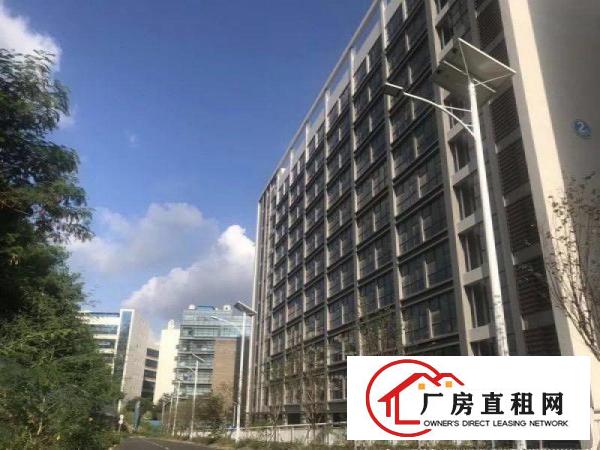 
		出租龙岗区坪地国际低碳城红本标准厂房园区大环境优雅
	