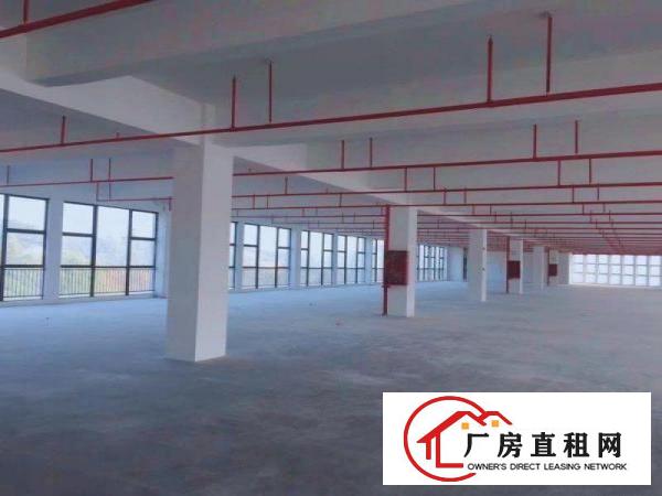 
		出租龙岗区坪地国际低碳城红本标准厂房园区大环境优雅
	