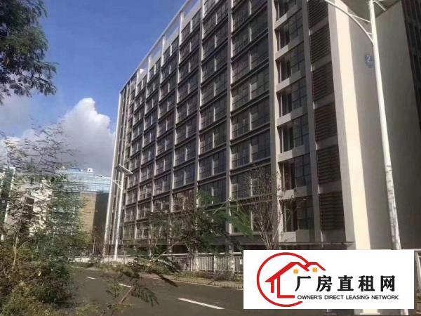 
		深圳坪地独院厂房
	