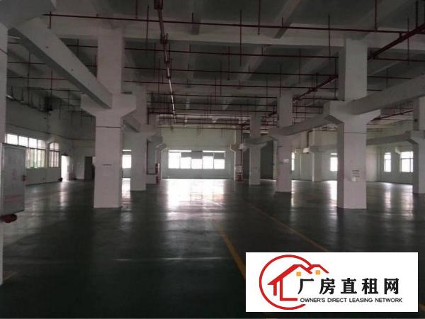 
		出租龙岗区坪地附近8米高带牛角！红本标准一楼2000平方
	