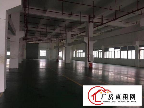 
		出租龙岗区坪地附近8米高带牛角！红本标准一楼2000平方
	