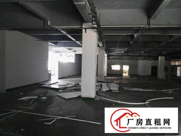 
		龙岗区坪地附近标准一楼实际面积1300平方带装修出租
	