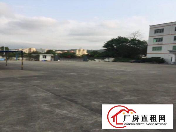 
		坪地坪地街道四方埔厂房30000平米
	